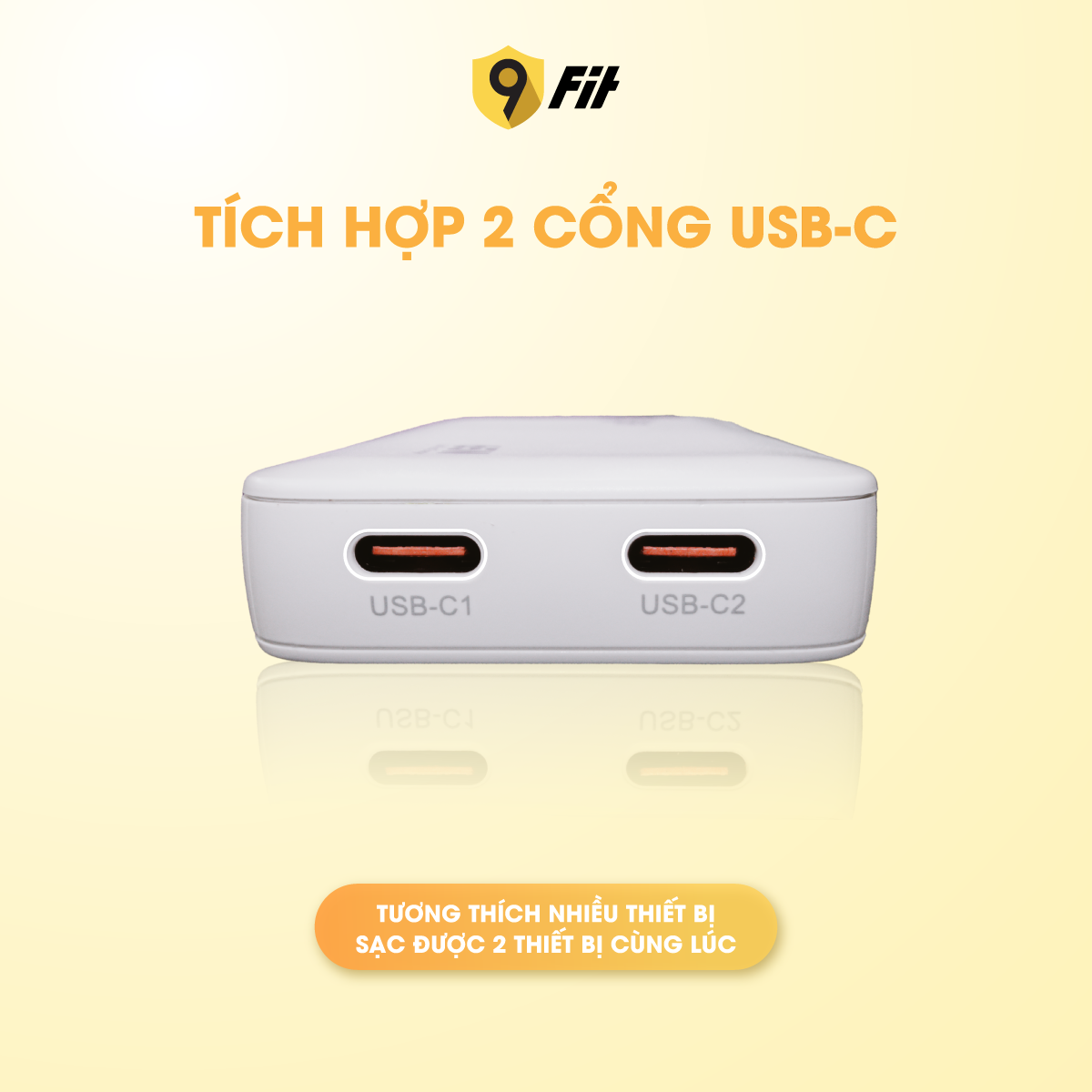 2_9fit_slim_gan_pd_65w