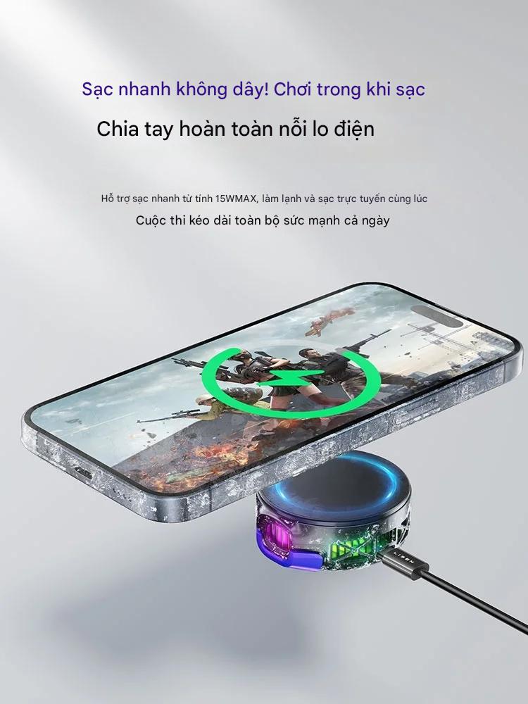 15_lisen_leeson